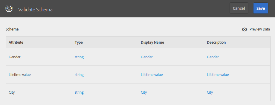 customer attributes validate schema