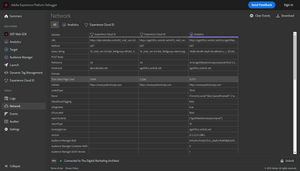 AEP debugger network screen