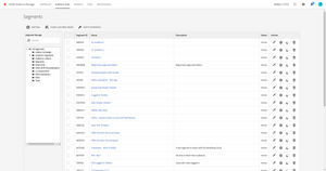 Adobe Audience Manager Segments