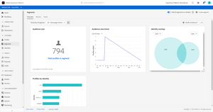 Adobe Experience Platform Segments