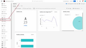 AEP Segmentation UI