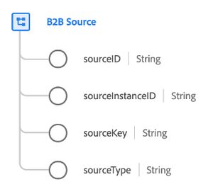 B2B Source data type