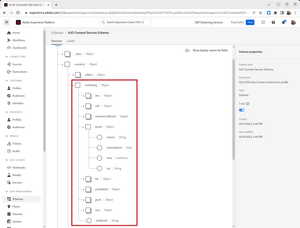 Consent Marketing Schema Path